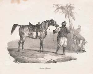 Egyptian Mare by Theodore Gericault