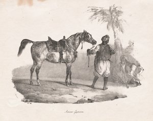 Egyptian Mare, 1822 by Theodore Gericault