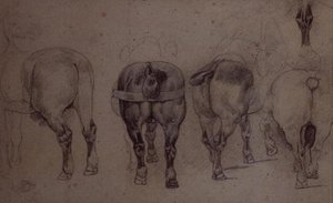 Harnessed Horses by Theodore Gericault