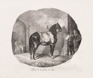 Horse from the Caen Plain by Theodore Gericault