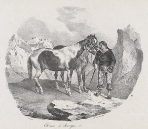 Horses of Auvergne