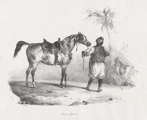Egyptian Mare by Theodore Gericault