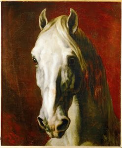 Head of a White Horse by Theodore Gericault
