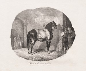 Lithographed Studies of Horses: Pl. 7, Horse from the Caen Plain by Theodore Gericault