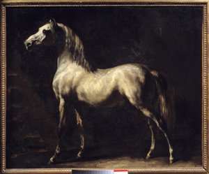 Study of a Horse by Theodore Gericault