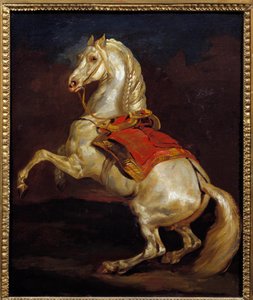Tamerlan horse
