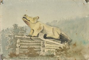 Indian Grave. Wolf Totem over Medicine Man Grave, Wrangell, ca. 1880-1914