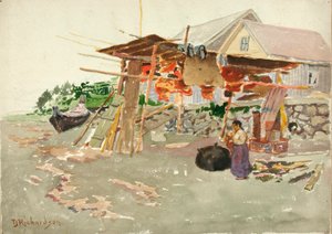 Salmon Drying, Indian Village, Alaska