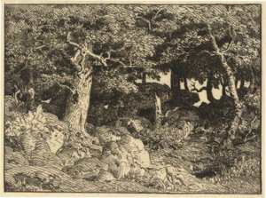 Rock Oaks