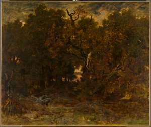 Leaving the Forest, Fontainebleau: Setting Sun