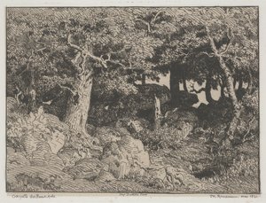 Oak Trees and Rocks