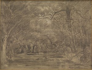 The Interior of a Forest