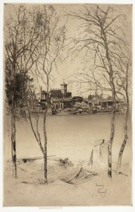 Laburnums and Battersea