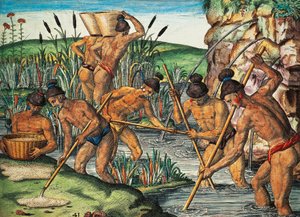 Gold diggers in Florida, colored engraving from Brevis Narratio