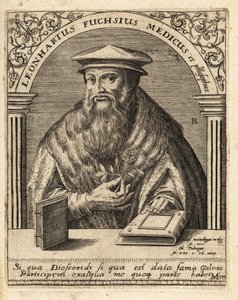 Leonhart Fuchs, German Physician and Botanist 1501-1566