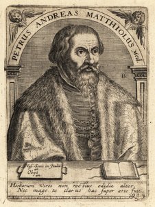 Pietro Andrea Gregorio Mattioli, Italian Physician