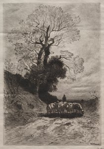 Return of the Flock