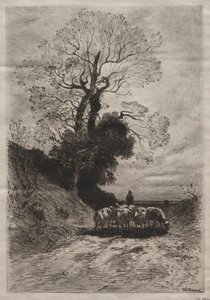 Return of the Flock