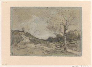 Dune Landscape