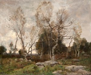 Landscape