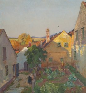 In the Evening Sun