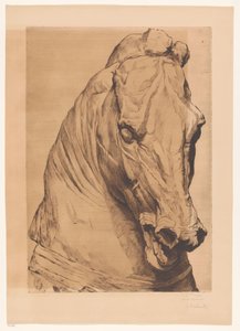Head of the Unicorn from an Ancient Statue
