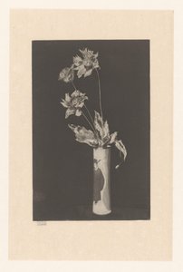 Flowers in a Vase with Chinese Motifs from La Chine by Théodore Roussel (signed by artist)