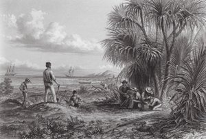 Australia: An Explorer