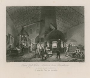 Falcon Glass House by Thomas Allom