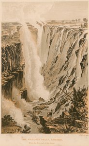 The Victoria Falls by Thomas Baines