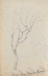 Study of small trees with low shrubs beneath them by Thomas Baxter