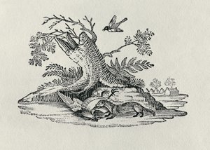 A Civet with a Cockerel from 