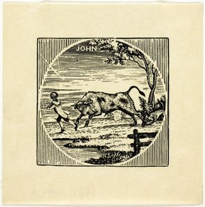 Book Illustration by Thomas Bewick