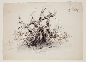 Gnarled Tree Trunks by Thomas Cole
