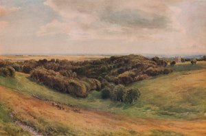 Arundel Park by Thomas Collier