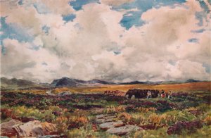 Stacking Peat, Festiniog, North Wales