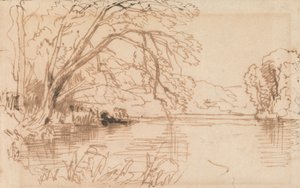 A Tree Overhanging a River