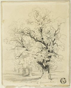 Chestnut in Greenwich Park by Thomas Creswick
