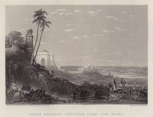 Ruins between Futtipur, Sikri and Biana