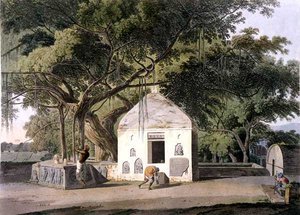 The Sacred Tree of the Hindoos, at Gyah, Bahar, from 