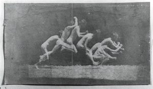 Marey Wheel Photographs of George Reynolds, 1884