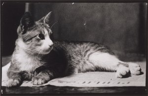 Mrs. Thomas Eakins