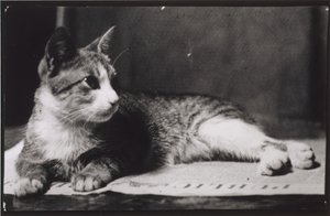 Mrs. Thomas Eakins