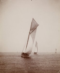 Sailboats