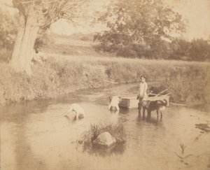 Three Children and a Dog Playing in the Creek by Thomas Eakins