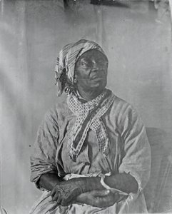Unidentified Sitter