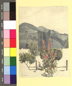 Study (Landscape with Hollyhocks)