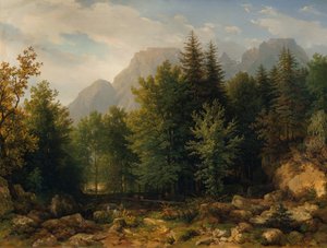 Forest Landscape in the High Mountains