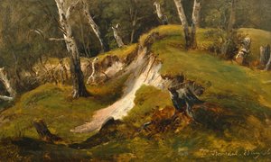 Birch Stocks in Romsdal