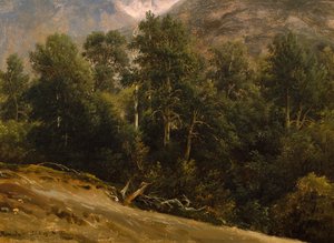 Forest in Romsdal by Thomas Fearnley